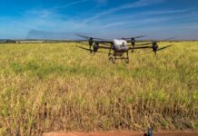 Drones na lavoura: Tereos amplia tecnologia no controle de pragas