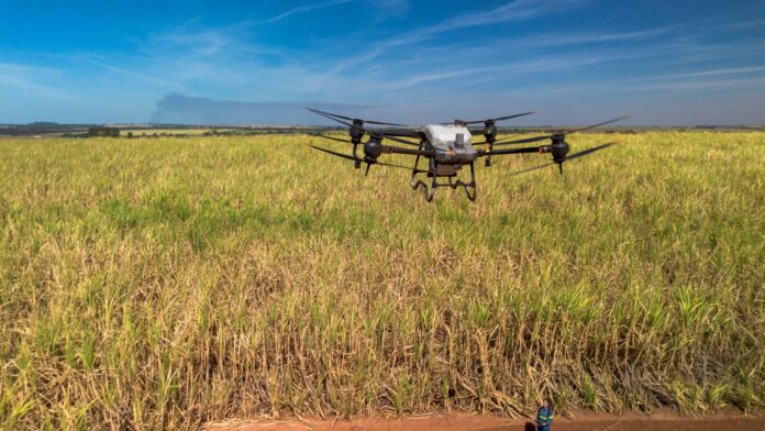 Drones na lavoura: Tereos amplia tecnologia no controle de pragas