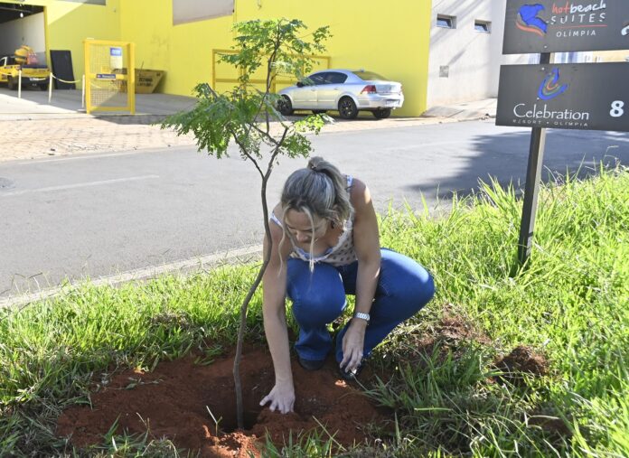 Olímpia aposta no verde e planta mais de 300 mudas em vias estratégicas