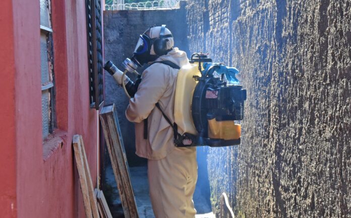 Dengue: Olímpia monitora casos enquanto SP decreta emergência