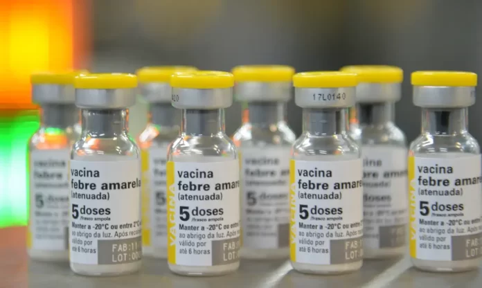 Febre amarela: governo reforça vacinação após mortes em SP