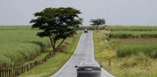 Urbanizada, mas não totalmente: Olímpia mantém tradição rural
