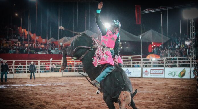 Área VIP do Votu International Rodeo começa a ser vendida hoje (10)