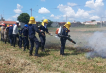 Cidade-piloto, Olímpia investe em formação contra incêndios florestais