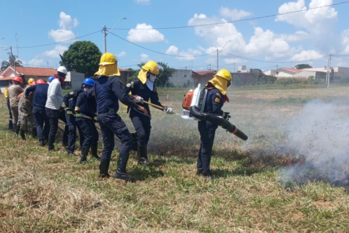 Cidade-piloto, Olímpia investe em formação contra incêndios florestais