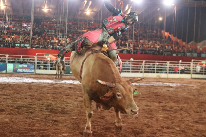 Montaria, shows e parque: Votu International Rodeo, confira detalhes