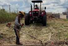 Fiscalização de terrenos começa dia 5 em Olímpia; veja bairros e prazos