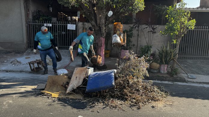 Cidade Limpa retira 500 toneladas de lixo em 12 dias em Olímpia