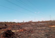 Energia sob risco: queimadas provocam recorde de apagões e CPFL reage