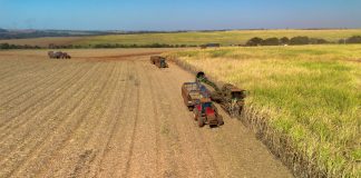 De 3,9 para 20,4 milhões de toneladas: Tereos mostra evolução em 25 anos