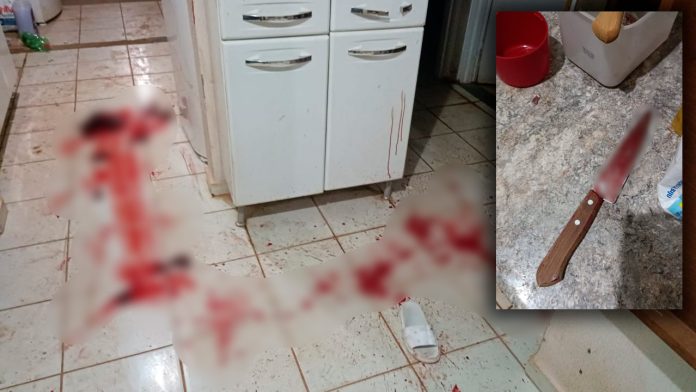 Homicídio em família: sobrinha mata tio durante briga no Vida Nova Olímpia