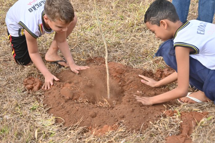 Olímpia comemora o Dia da Árvore com plantio e doação de mudas