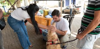 Dia dos Animais tem bênçãos, adoções e mais de 180 vacinas aplicadas