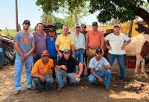 Trabalhadores rurais concluem curso de cuidados com cavalos, em Guaraci
