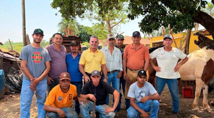 Trabalhadores rurais concluem curso de cuidados com cavalos, em Guaraci