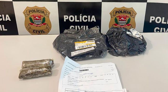 Ação entre DEIC e Polícia Civil de Olímpia prende traficante com ‘Dry’