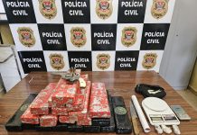 Polícia Civil prende homem com quase 15 kg de maconha e arma em Olímpia