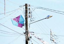 Pipas e energia: Olímpia tem leve alta em 2025 e CPFL reforça orientações