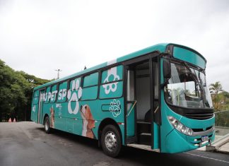 Castração gratuita começa terça (3) em Olímpia com carreta do Pró Pet SP