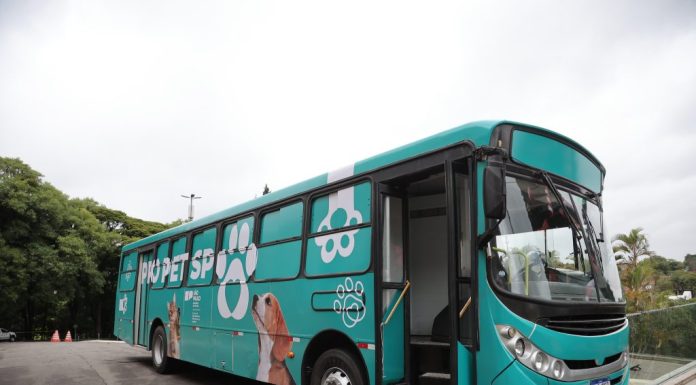 Castração gratuita começa terça (3) em Olímpia com carreta do Pró Pet SP