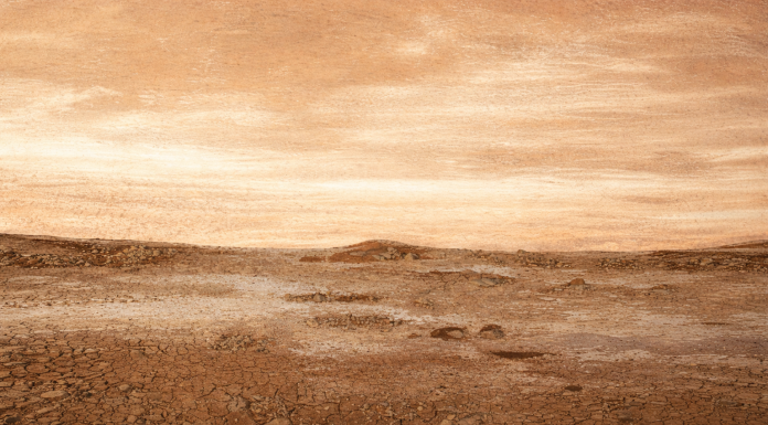 Zilah Garcia abre exposição “Terra” em sua cidade natal, sexta (28)