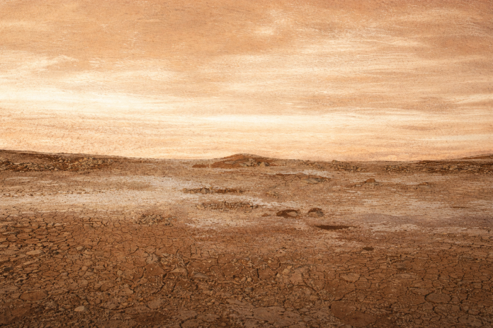 Zilah Garcia abre exposição “Terra” em sua cidade natal, sexta (28)