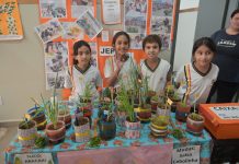 Projeto com alunos de Olímpia ganha reconhecimento nacional do MEC
