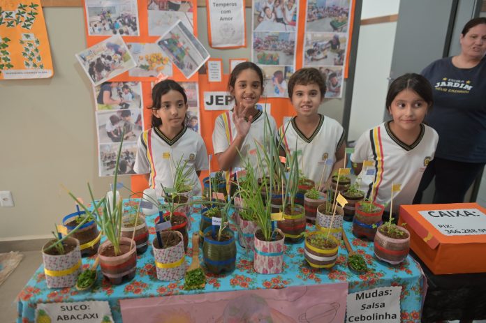 Projeto com alunos de Olímpia ganha reconhecimento nacional do MEC