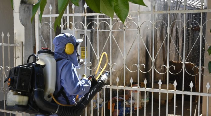 Olímpia reforça combate à dengue após baixa procura por vacina