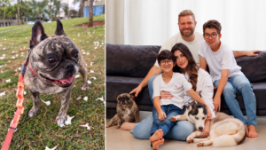 Morte de Arya após transporte em táxi-dog repercute na região