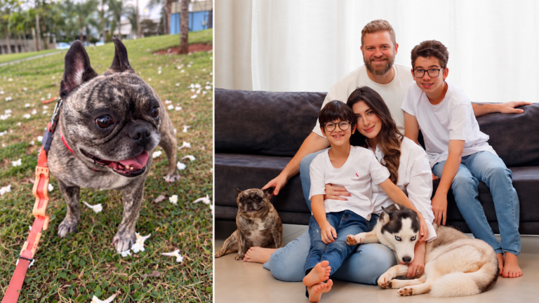 Morte de Arya após transporte em táxi-dog repercute na região