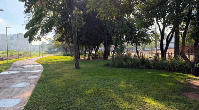 Calor x Arborização Urbana: IPT faz diagnóstico em Olímpia