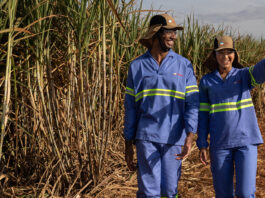 Tereos abre 20 vagas para curso gratuito de mecânica agrícola