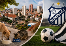 Novas leis em Olímpia tratam de causa animal e fortalecem o Olímpia FC