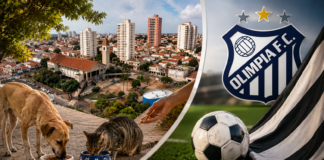 Novas leis em Olímpia tratam de causa animal e fortalecem o Olímpia FC