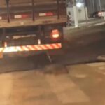 Cachorro preso a traseira de caminhao sendo arrastado em via de Olimpia (SP)