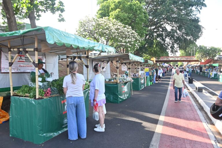 Barracas de feirantes com verduras e legumes e clientes conversando em rua com árvores, na Feira Livre da Avenida dos Olimpienses, em Olímpia